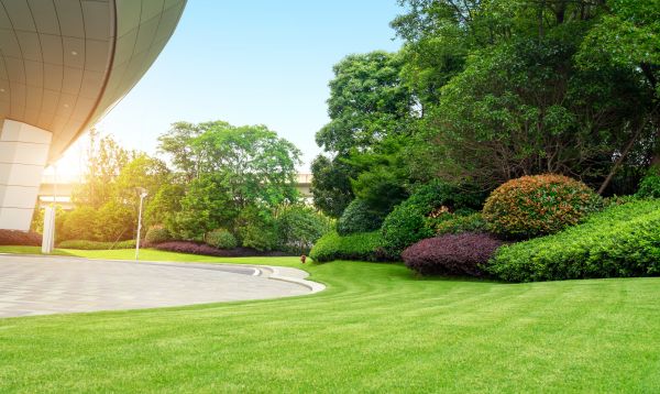 Commercial Lawn Mowing in Warrenton