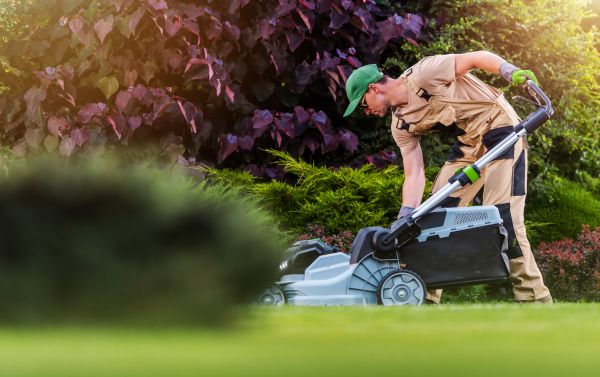 Lawn Care And Maintenance in Warrenton