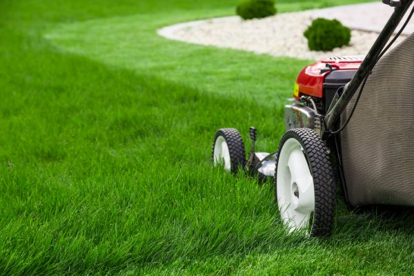 Lawn Cutting Service in Warrenton