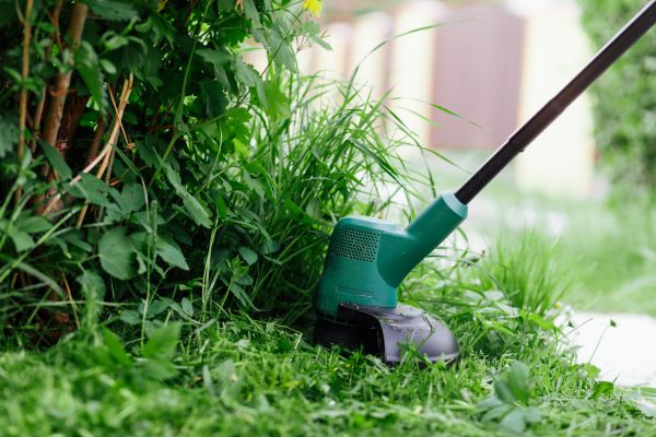 Weed Whacking in Warrenton