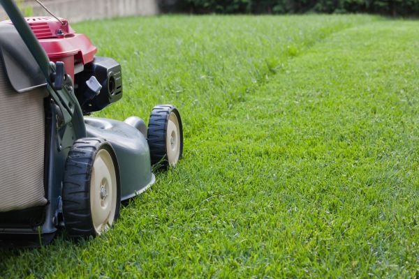 Residential Lawn Care in Warrenton