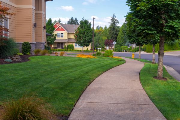 Home Lawn Maintenance in Warrenton