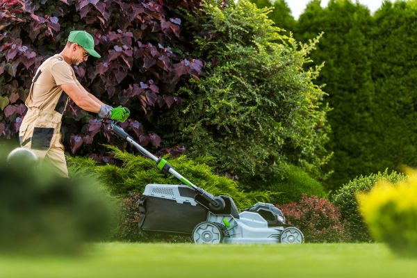 Lawn Management in Warrenton