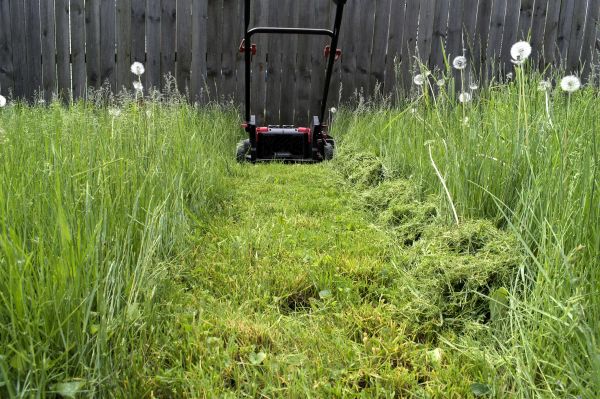 High Grass Mowing in Warrenton