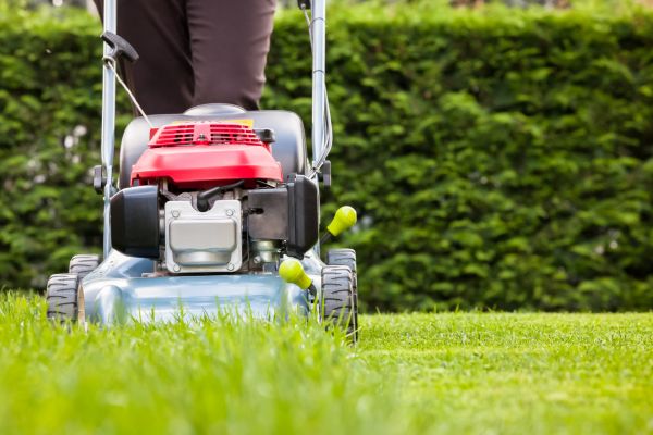 Grass Trimming Service in Warrenton