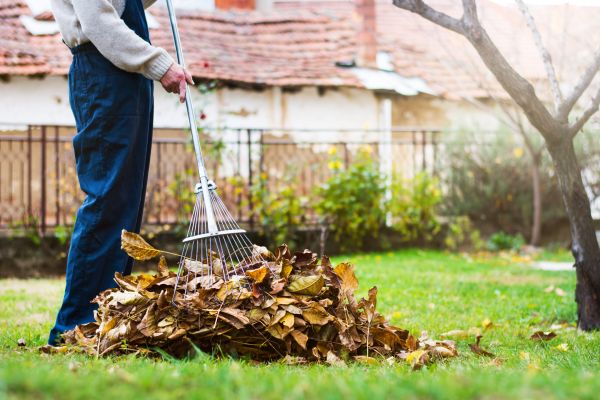 Cost of Routine Lawn Maintenance in Warrenton