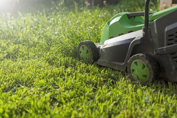 Lot Mowing in Warrenton