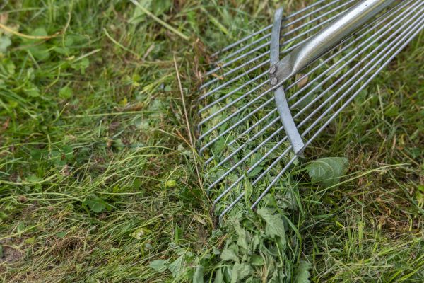 Thatch Raking in Warrenton