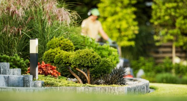 Residential Yard Maintenance in Warrenton