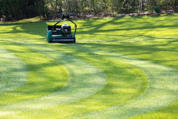 Business Lawn Mowing in Warrenton