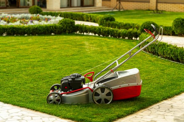 Business Grass Cutting in Warrenton