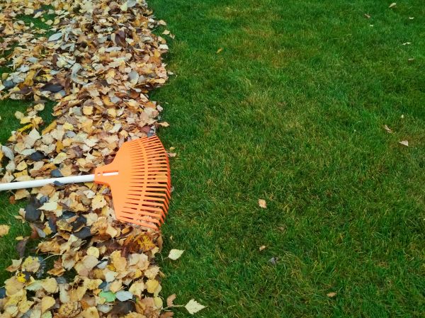 Fall Lawn Care in Warrenton