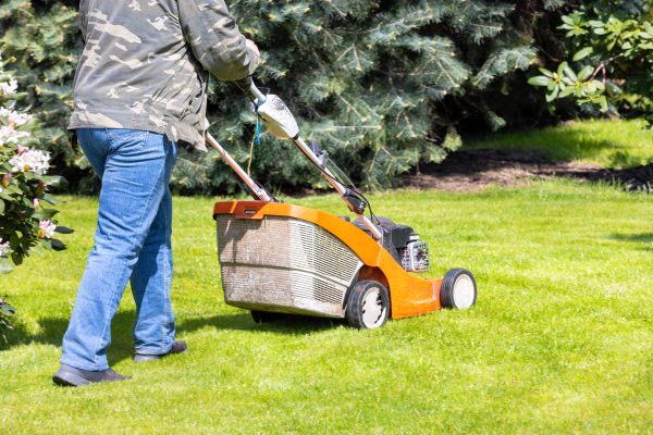 Springtime Lawn Care in Warrenton