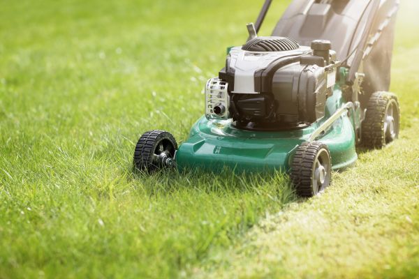 Cost of Spring Grass Trimming in Warrenton