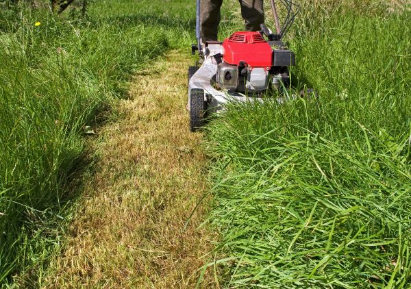 Leaf Mowing in Warrenton