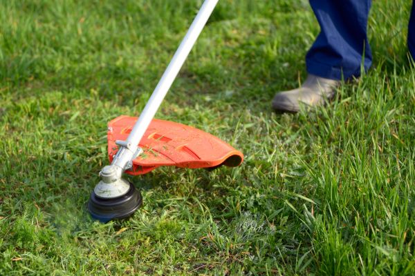 Cost of Lawn Weed Whacking in Warrenton