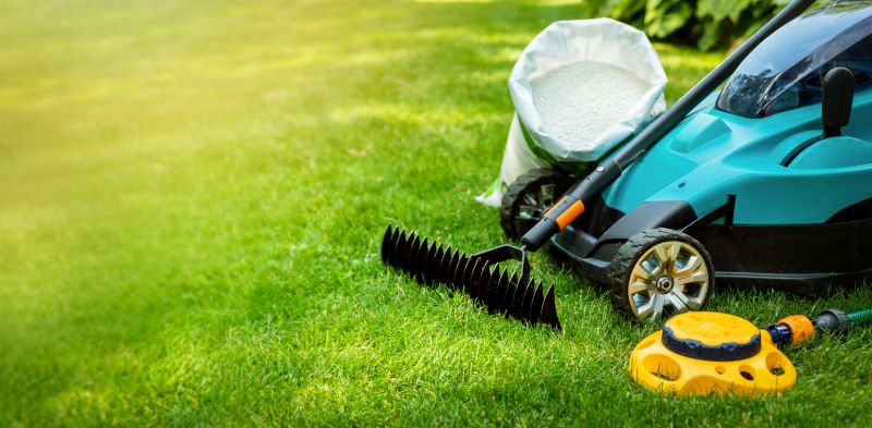 Healthy Lawn Maintenance
