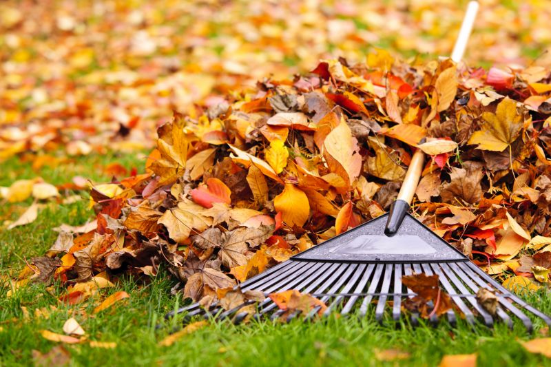 Tools for Fall Cleanup
