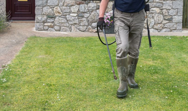 Spring Lawn Maintenance